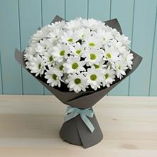 Букет цветов из:  Хризантемы #REPLACE_PRED# Яровом