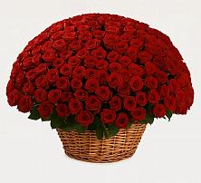 Премиум букет из: Розы в Яровом